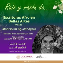 427. Escritoras Afro en Bellas Artes. Cuarta parte, 30 de agosto 2025