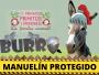 579. Proteger a los burritos: burro Manuelin