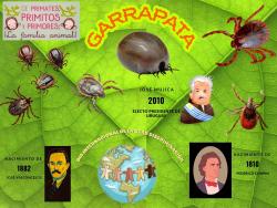 719. Día internacional de la cero discriminación. Garrapata.