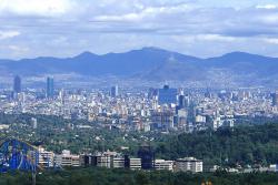 Los bosques en la Ciudad