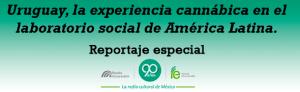 Uruguay, la experiencia cannábica en el laboratorio social de América Latina. 
