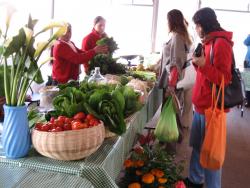 Primer aniversario del Tianguis Organico Bosque del Agua en la colonia del Valle