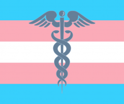 Salud sexual y reproductiva en personas Trans