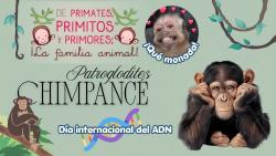 727. ¡Qué monada! Chimpancé