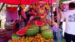 Producir y distribuir: mercados y tianguis alternativos