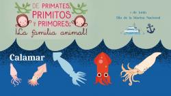 628. Cuidar nuestros mares: calamar 