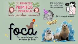 721.  Día mundial contra la matanza de focas: Foca.