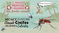 Lagartija come moscos nos evita una picada: Lagartija