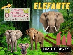 711. El Rey Subido Al Elefante…¡Llega Muy Campante!
