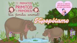 717. Día del amor y la amistad: hipopótamo