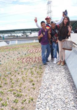 Naturación de azoteas con escolares de Xochimilco. 682 