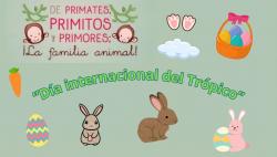 683. Un conejo muy fértil