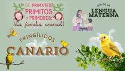 718. Día de la lengua materna: canario 