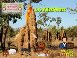 728. Trabajadoras las hormigas. Termita