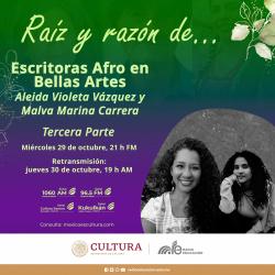 426. Escritoras afro en Bellas Artes. Tercera parte, 30 de agosto de 2025.