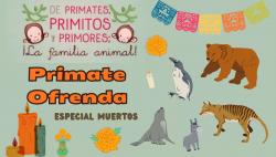 702. Primate ofrenda