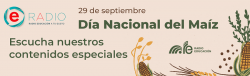 2 CELEBRACIÓN DÍA NACIONAL DEL MAÍZ