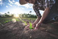 Experiencias de agrobiodiversidad en comunidades con acompañamiento docente. 865 