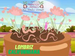 724. La lombriz no entiende qué día es hoy: lombriz 