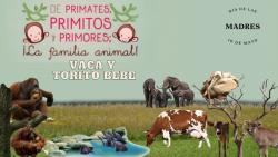 677. Especial madres 2025