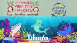 634. Día internacional de conciencia por los tiburones 