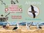 694. Dìa internacional de las aves playeras: albatros