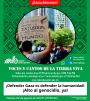 436. ¡Defender Gaza es defender la humanidad! ¡Alto al genocidio, ya!