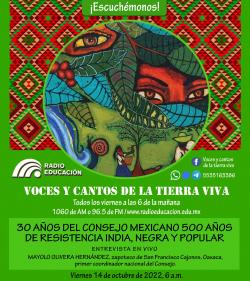 Programa 287. 30 años del Consejo Mexicano 500 años de resistencia india, negra y popular