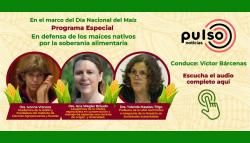 PROGRAMA ESPECIAL EN DEFENSA DE LOS MAÍCES NATIVOS POR LA SOBERANÍA ALIMENTARIA