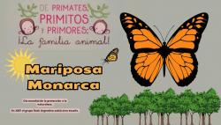 700. Día mundial de la protección de la naturaleza: Mariposa