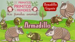 640. Armadillo guaraní gigante