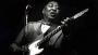 724. Muddy Waters: Padrino del rock