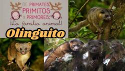 712. Un año nuevo trae novedades de primates te desea esperanza y muchas felicidades