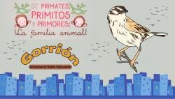 706. Aniversario Radio Educación; gorrión