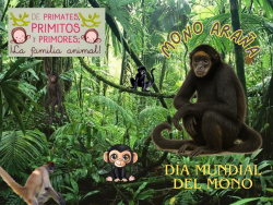 708. Las efemérides de éste fin son ¡Una Monada!