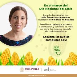 02 CÁPSULA IMPORTANCIA ALIMENTARIA DEL MAÍZ