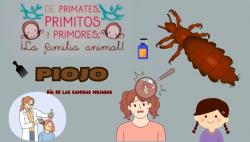 709.   Muy cerquita del nacimiento; el buey está contento