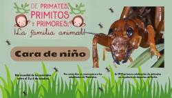 698. Día mundial de los animales: Cara de niño