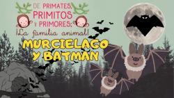 660. Murciélago y Batman