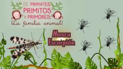 639. Mosca escorpión y mosca común