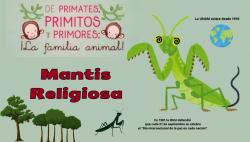 696. Día de la paz Mantis